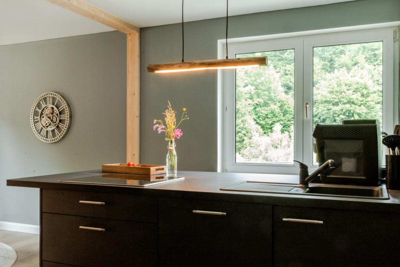 Harzfalke Apartment - Ankommen Und Wohlfuehlen. Wieda Esterno foto